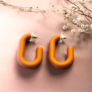 Sassy Jone Brownish Hoop Earrings